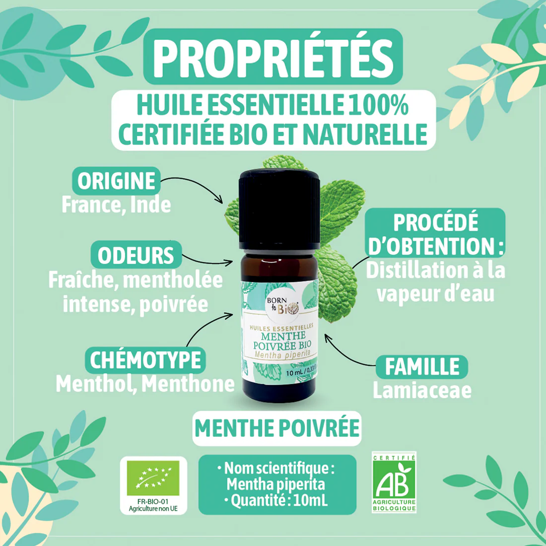 Huile essentielle Menthe poivrée - Bio 10ml – Image 2